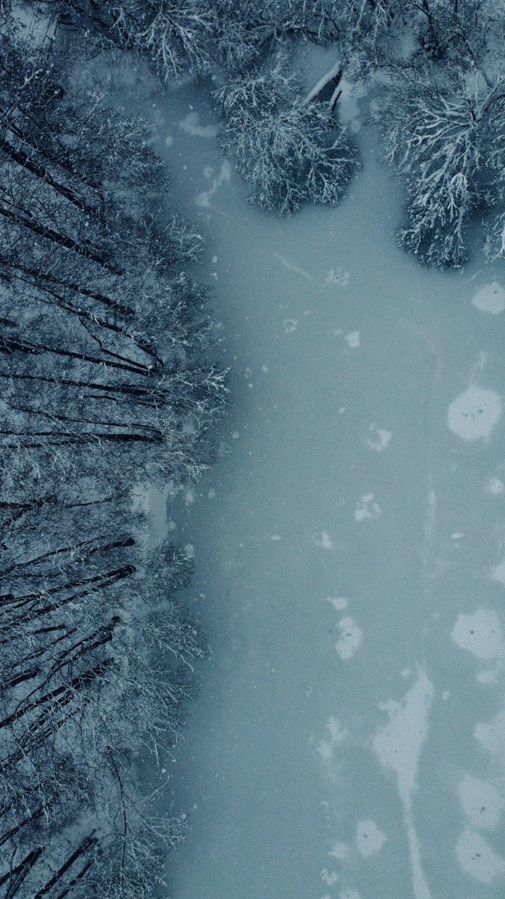 an aerial view of snow covered trees and a body of water
