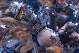 Close-up of a snowy white Christmas tree adorned with delicate fairy lights and rustic wooden decorations.