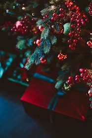 A cozy Christmas scene with a beautifully wrapped gift box surrounded by twinkling fairy lights and pine branches.