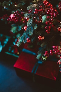 A cozy holiday scene with beautifully wrapped aza-rosa gifts under a glowing Christmas tree.