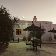 Soft white-washed walls and lush green plants framing a tranquil courtyard.