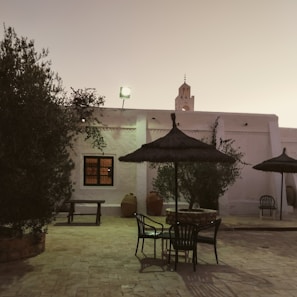 Relaxed moments of students sharing stories and coffee breaks in the finca's rustic courtyard.