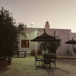 Relaxed moments of students sharing stories and coffee breaks in the finca's rustic courtyard.