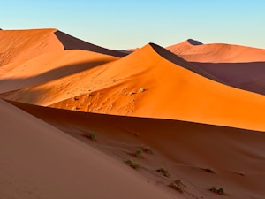 Sandy Soil