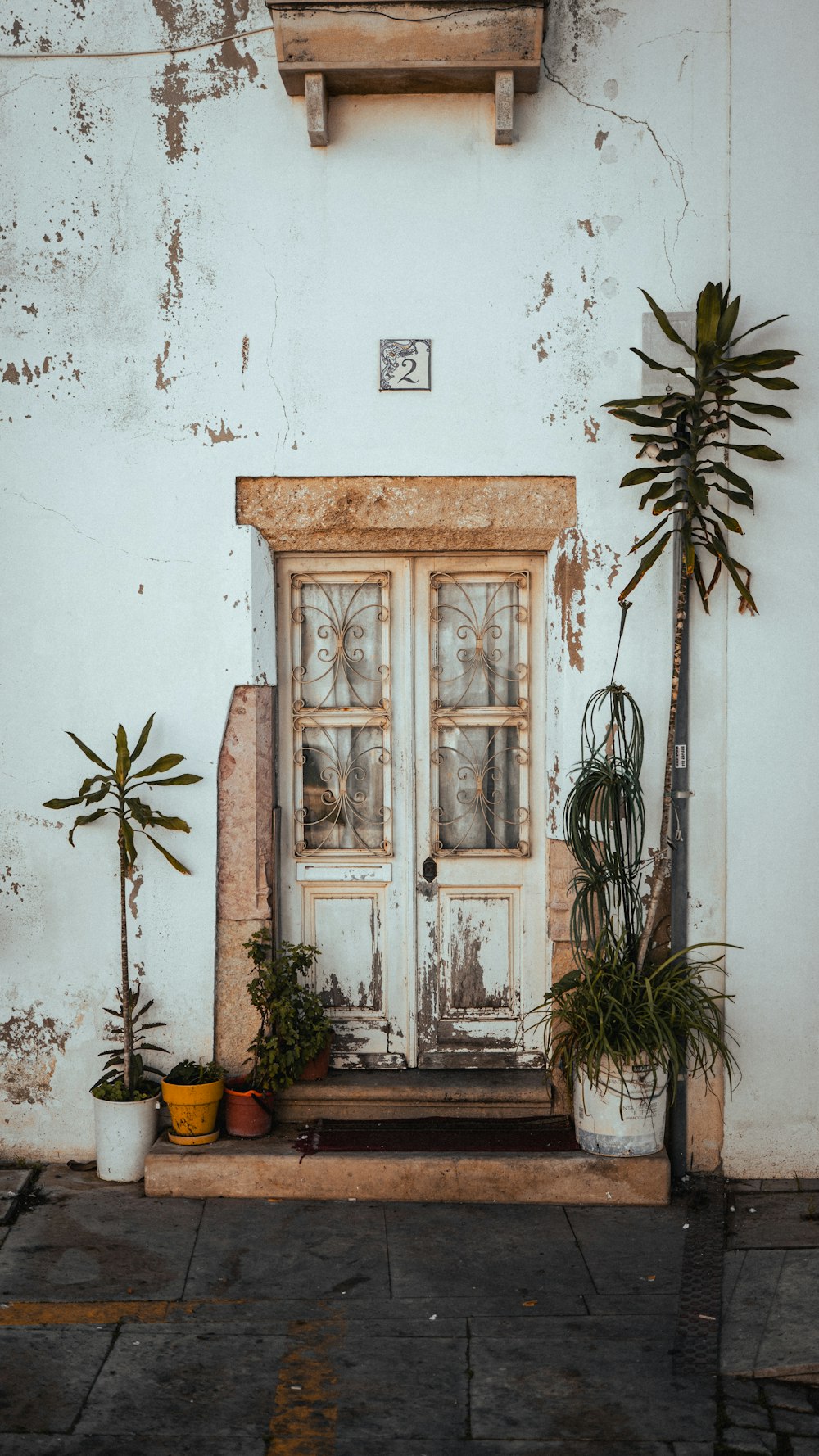 a white door with two potted plants in front of it