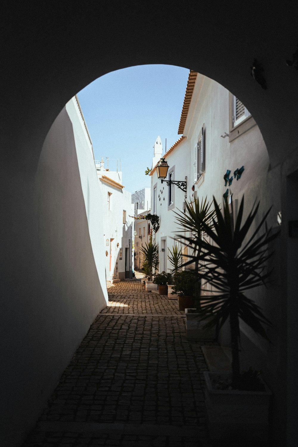 a narrow alley way with a potted plant in the middle