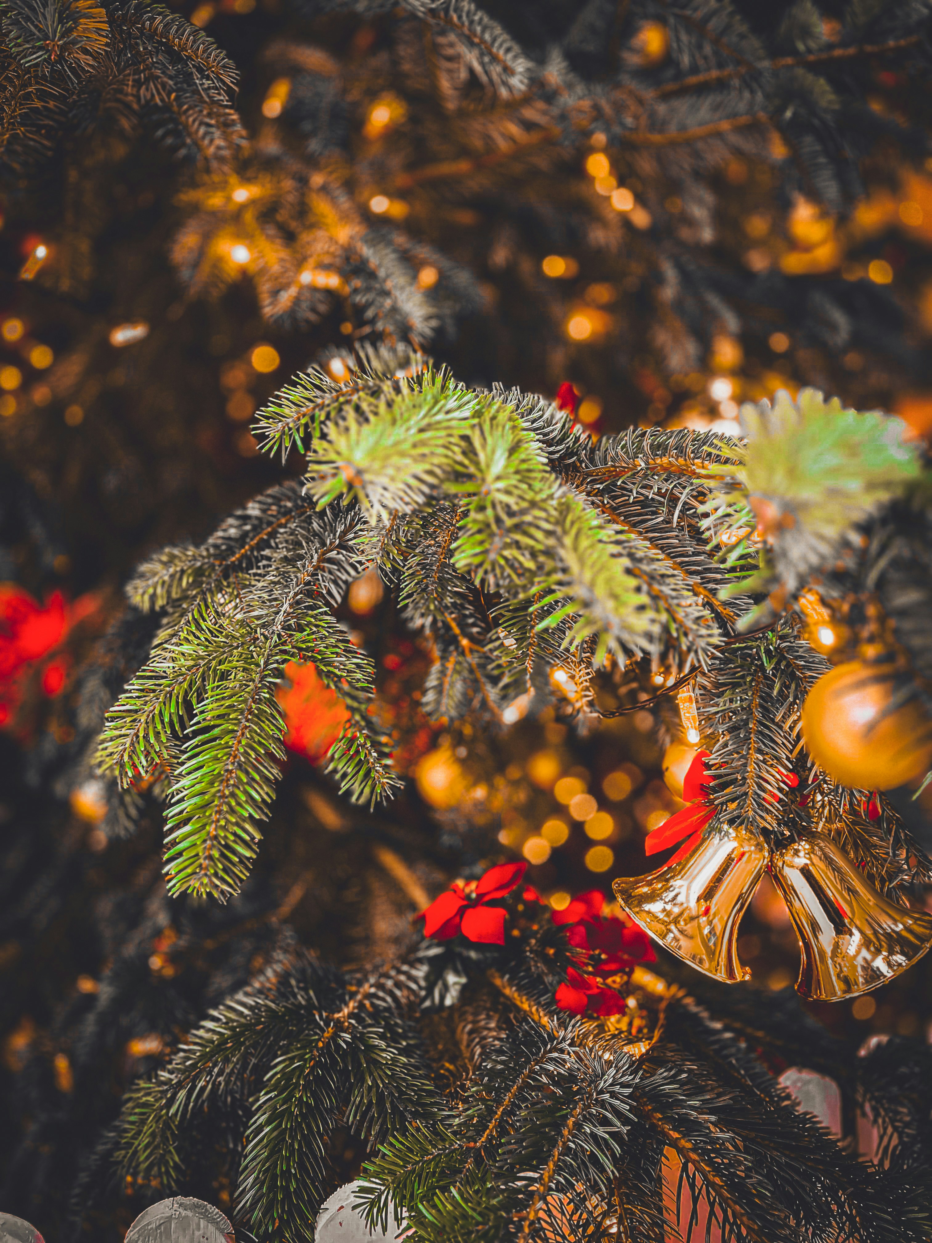 Photo by sid_balachandran