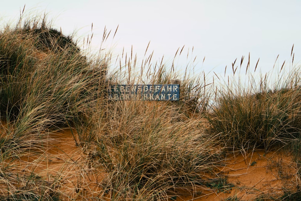 a sign that is on top of a hill