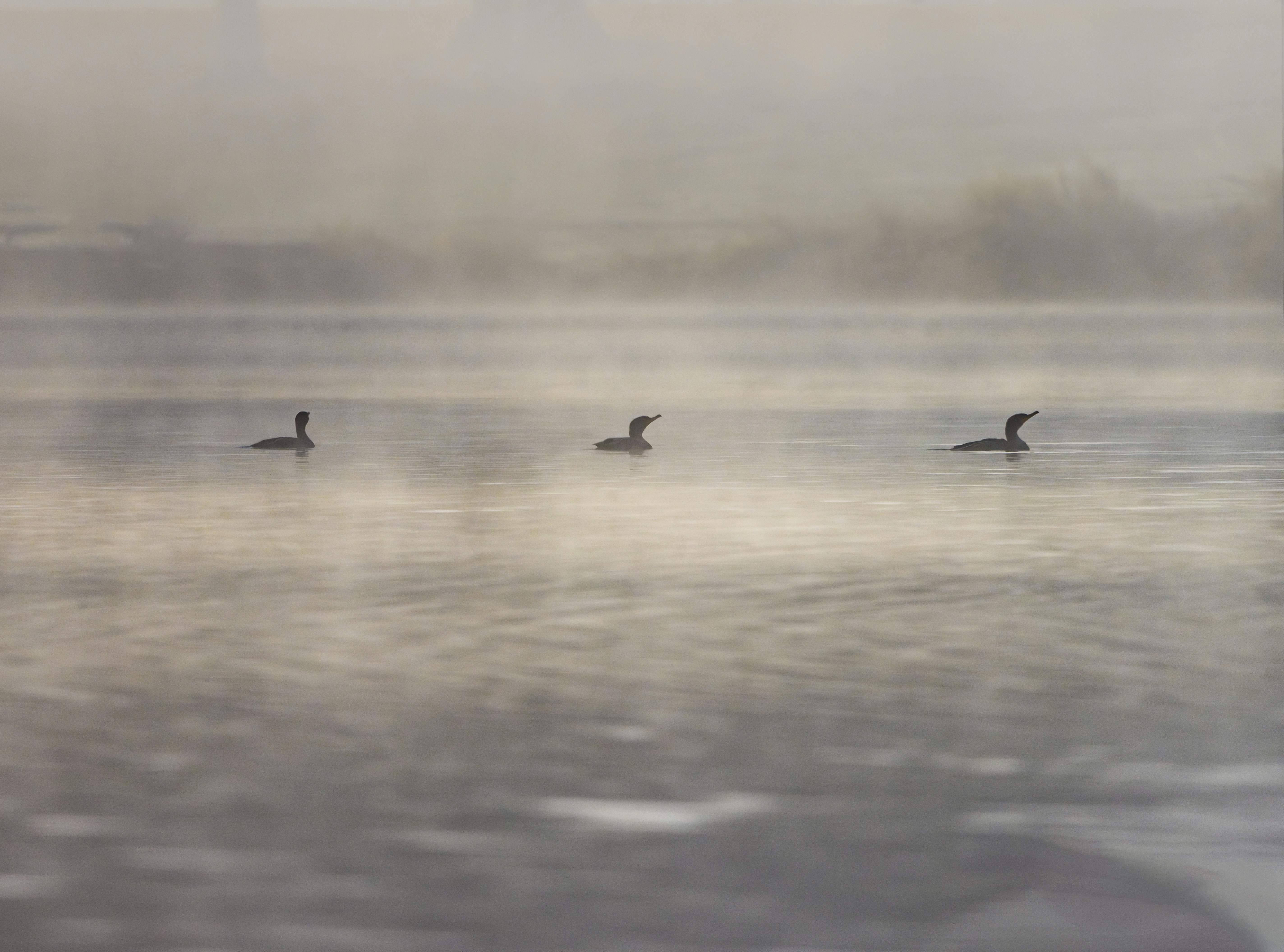 Photo by sailorgreg123