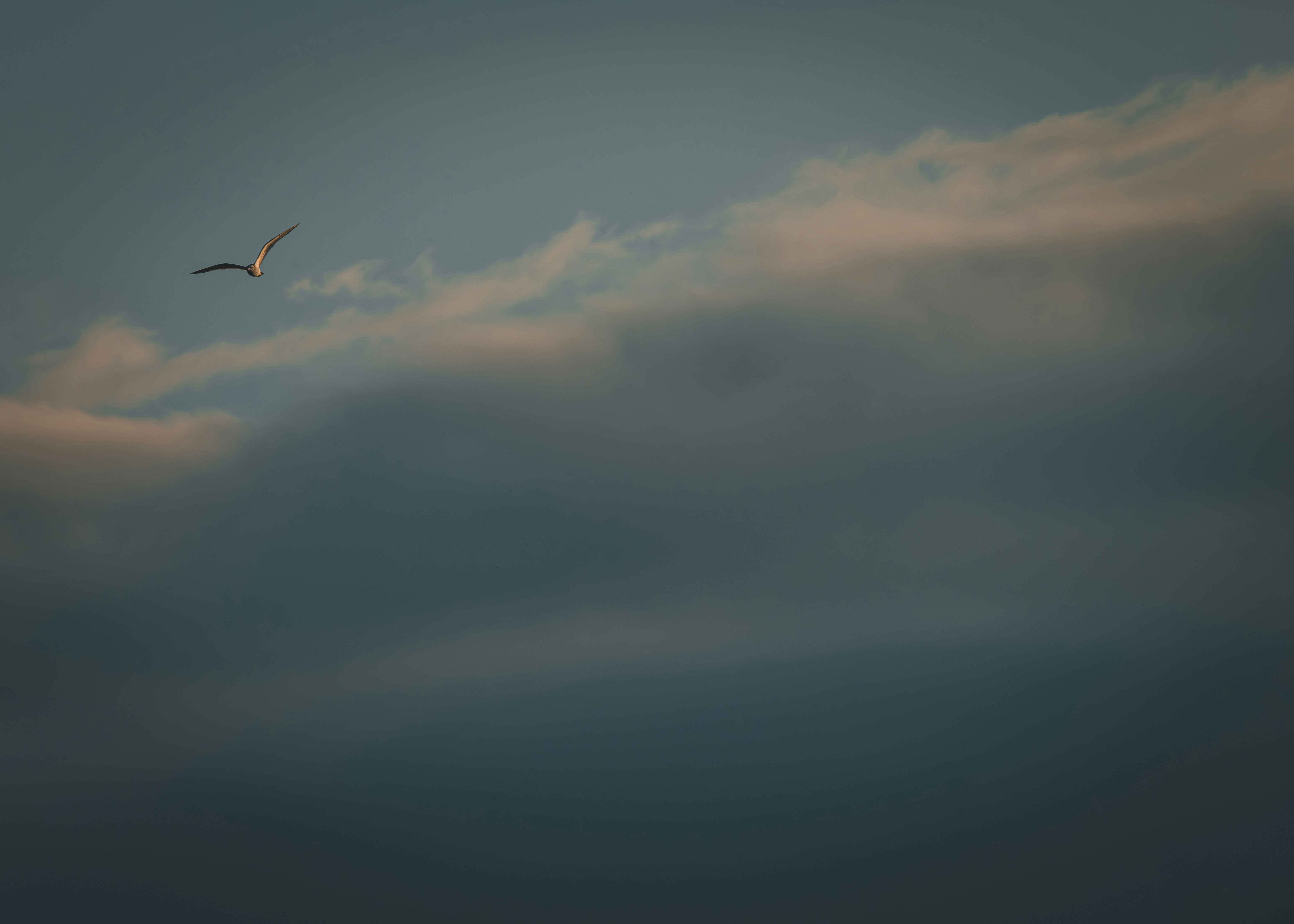 Photo by sailorgreg123