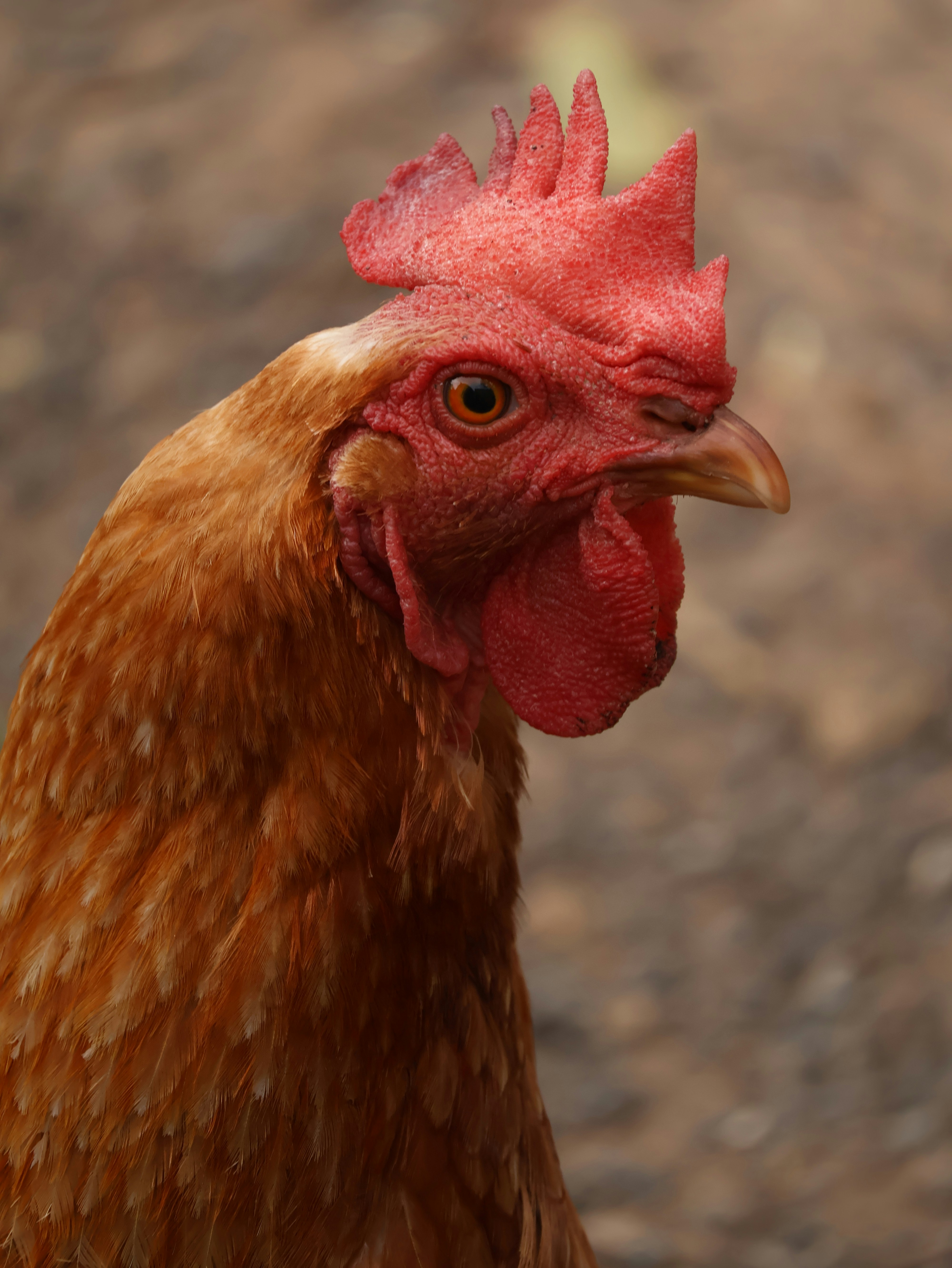 Photo by unsealmyname