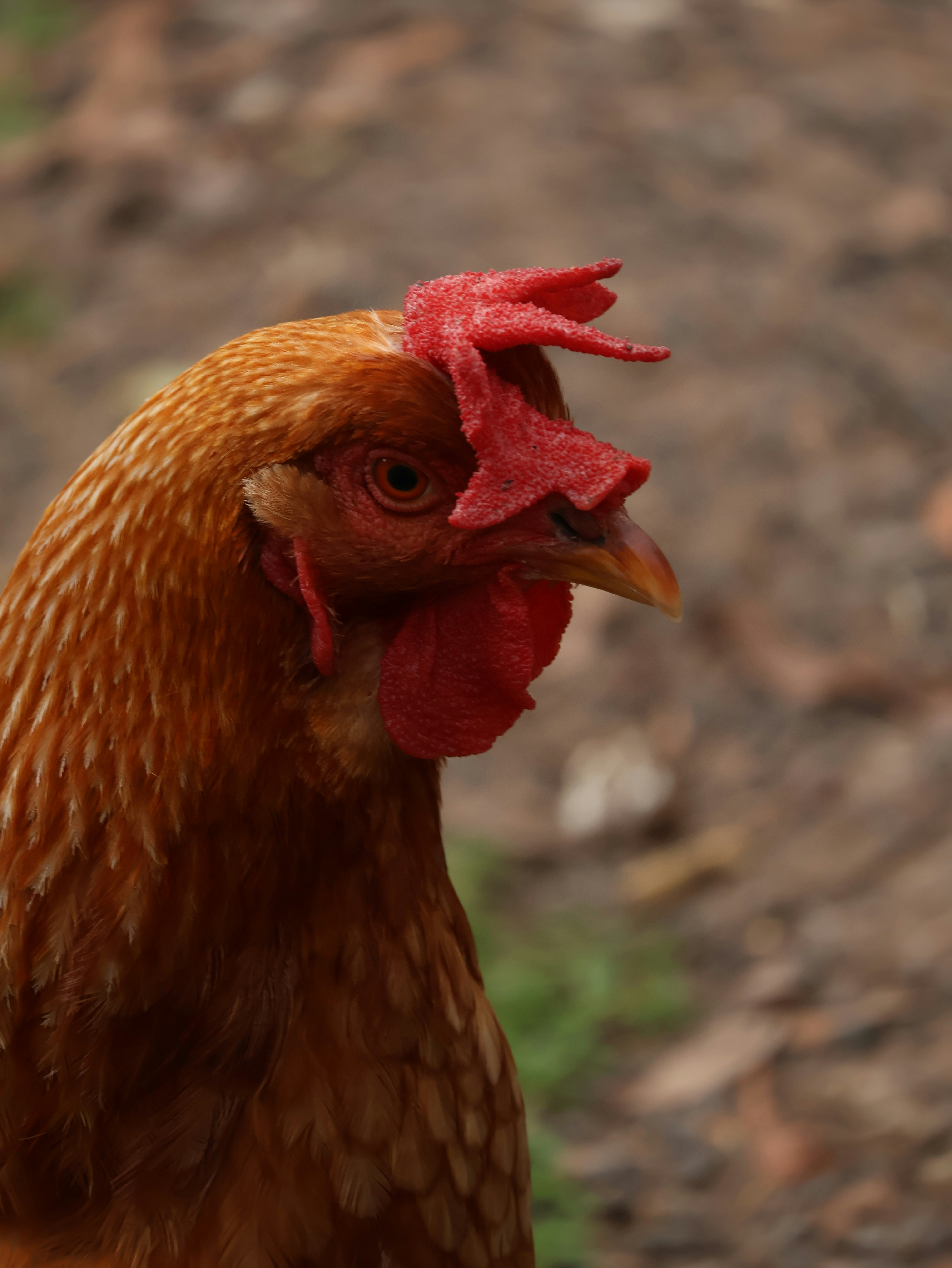 Photo by unsealmyname