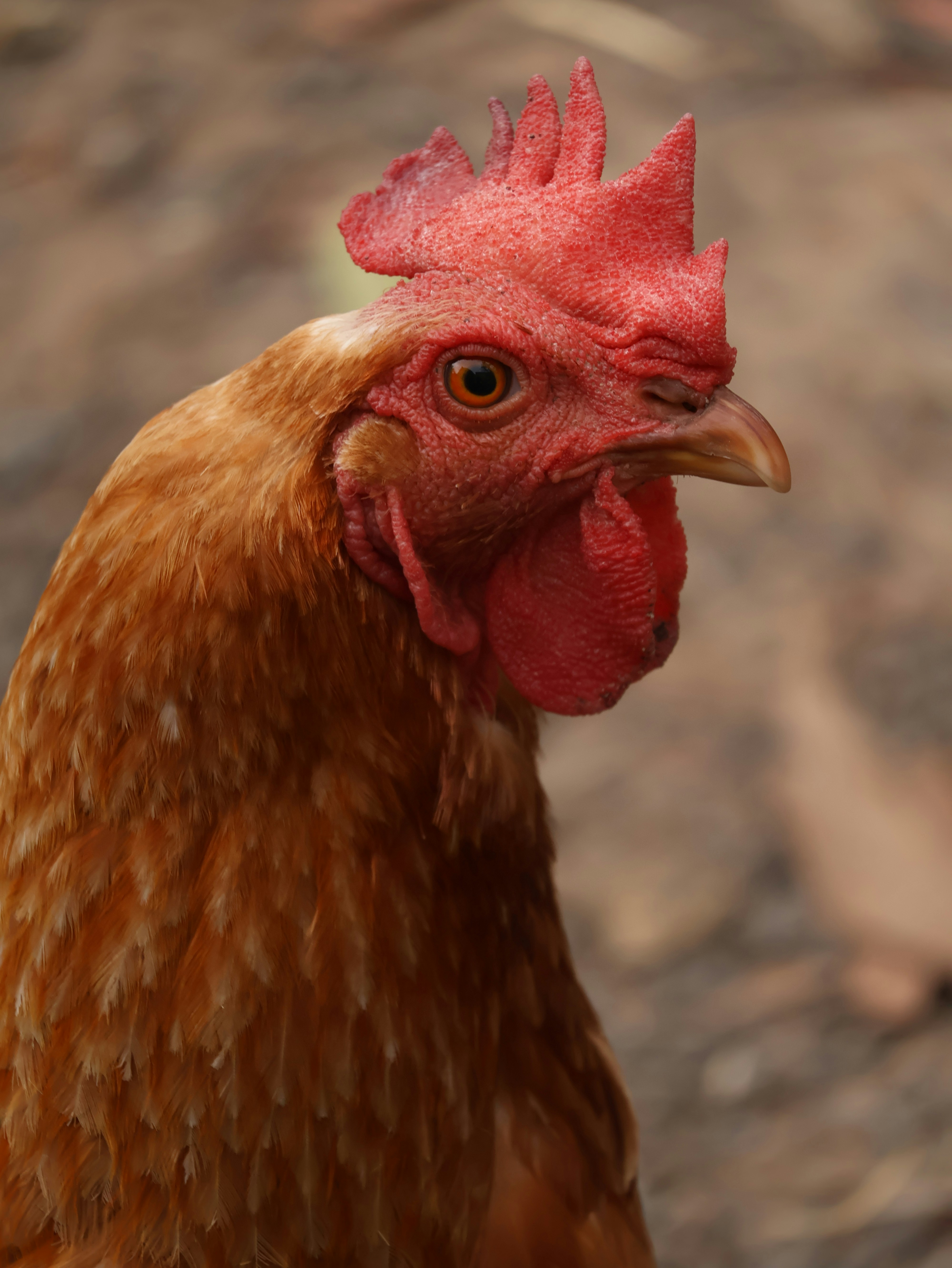 Photo by unsealmyname