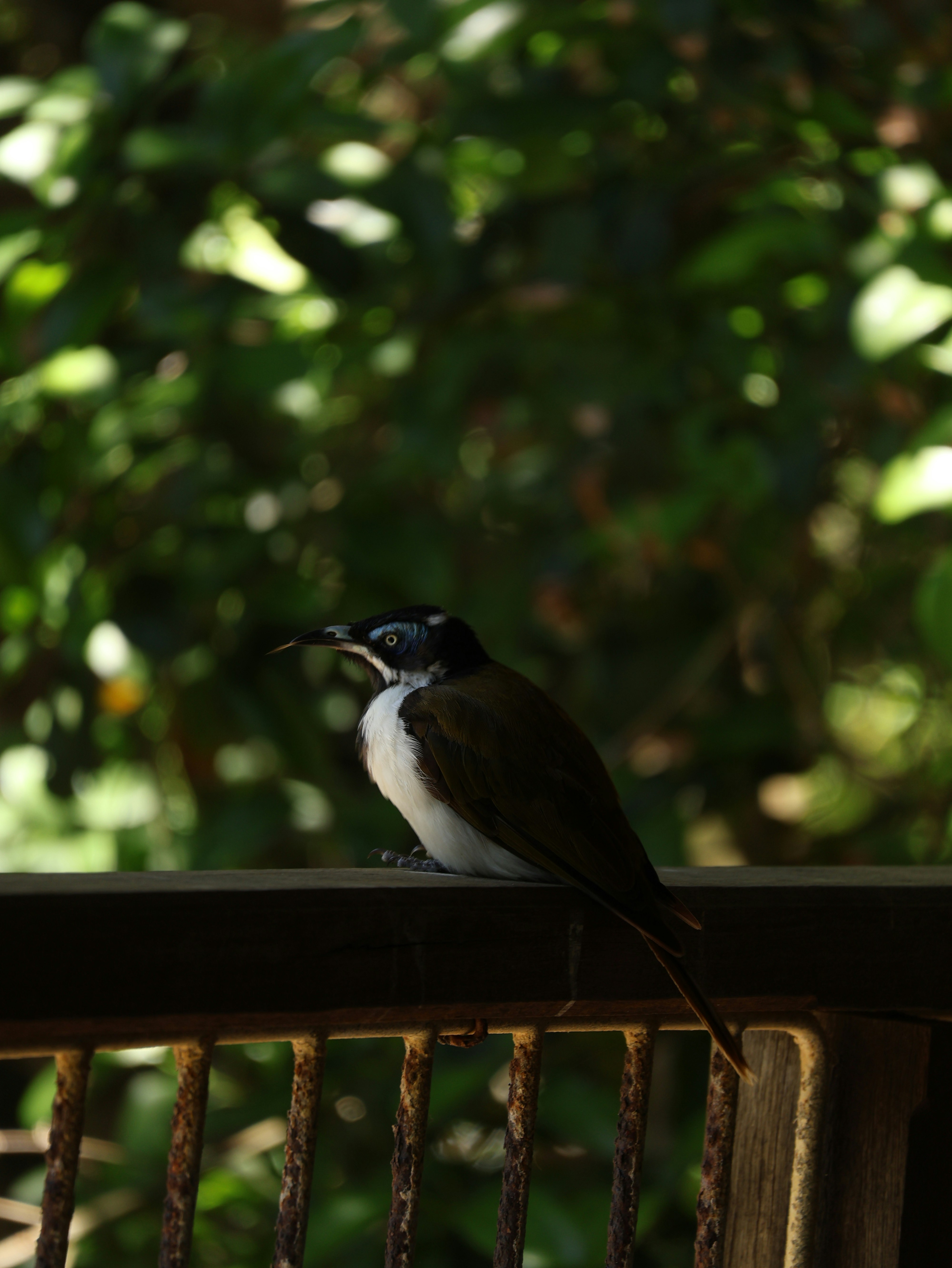 Photo by unsealmyname