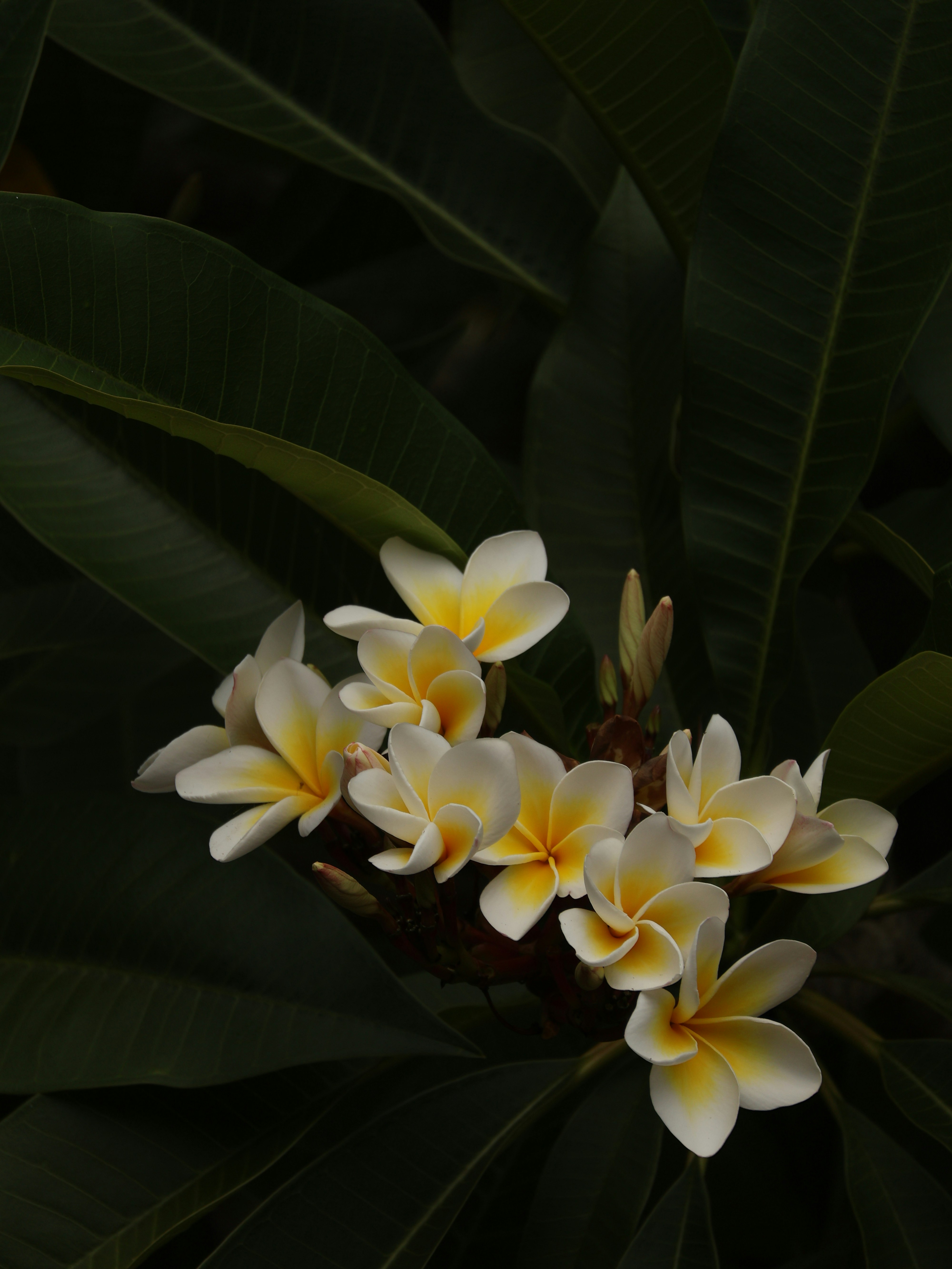 Photo by unsealmyname