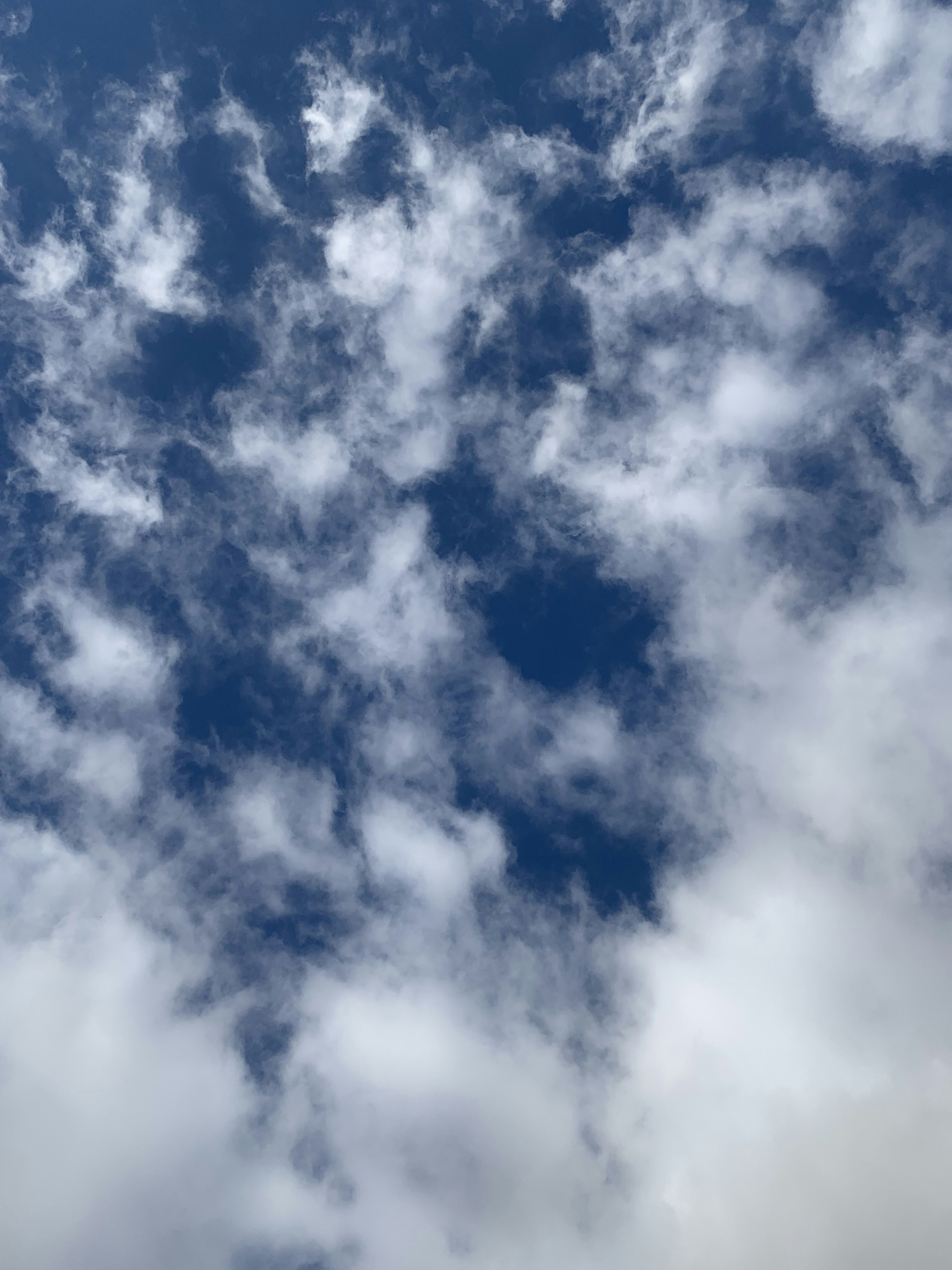 Photo by keevmeghkurt