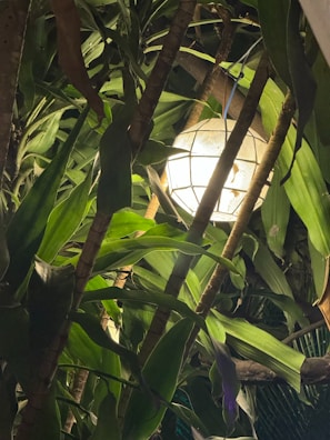 Sophisticated olive green 3D printed lamp casting soft light.