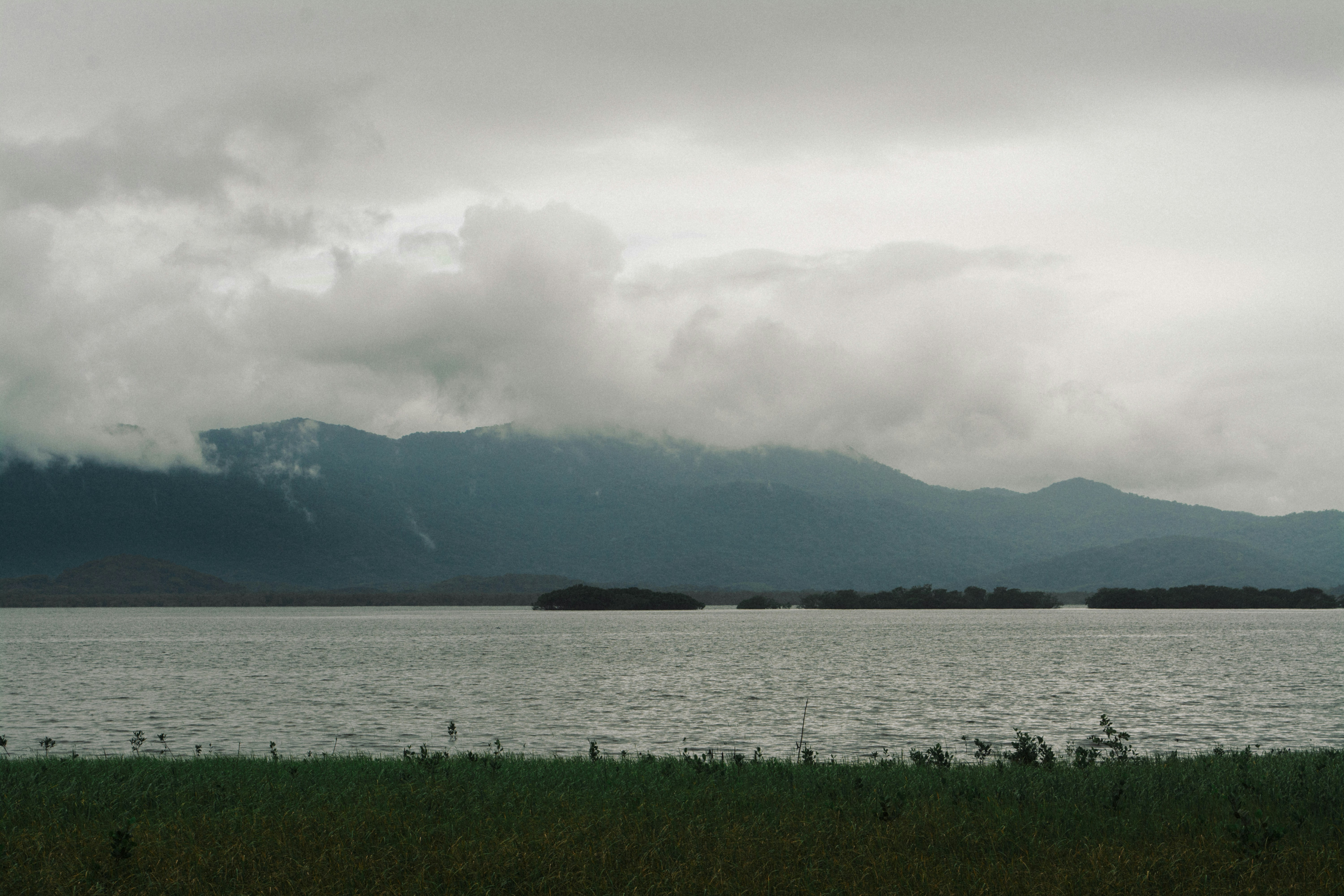 Photo by dantecandal