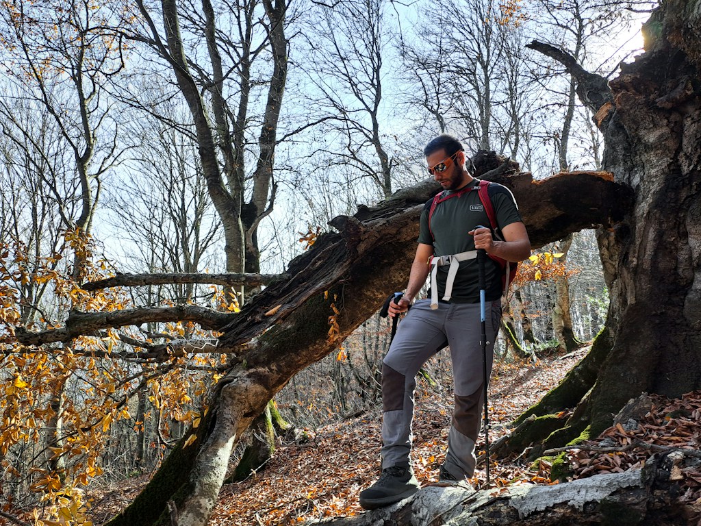 Adjustable Trekking Poles