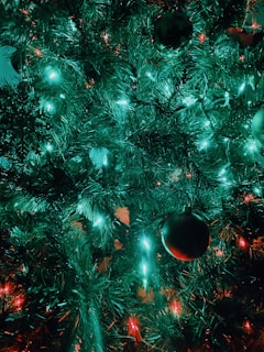 A lush green Christmas tree adorned with glowing lights and shiny ornaments. The tree is densely packed with needles, and the lights give off a warm red and cool blue-green hue, creating a festive atmosphere.