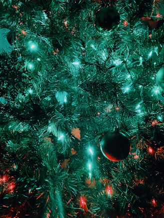 A lush, full artificial Christmas tree with rich green needles glowing softly with warm white lights.