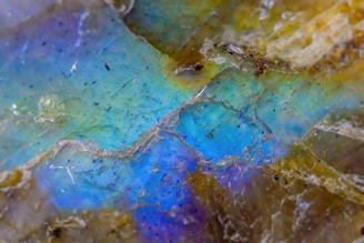 Close-up of raw shilajit resin glistening on a rocky Himalayan surface.