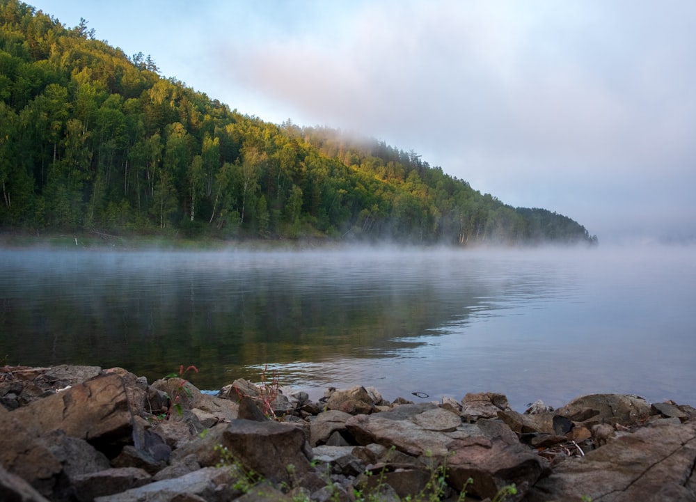 a body of water surrounded by rocks and trees