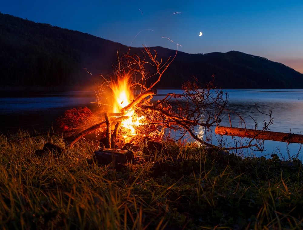 a campfire on the shore of a lake at night