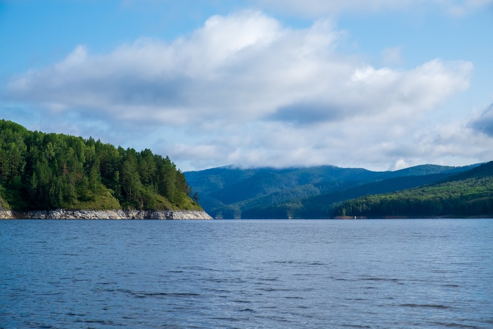 a large body of water surrounded by forest