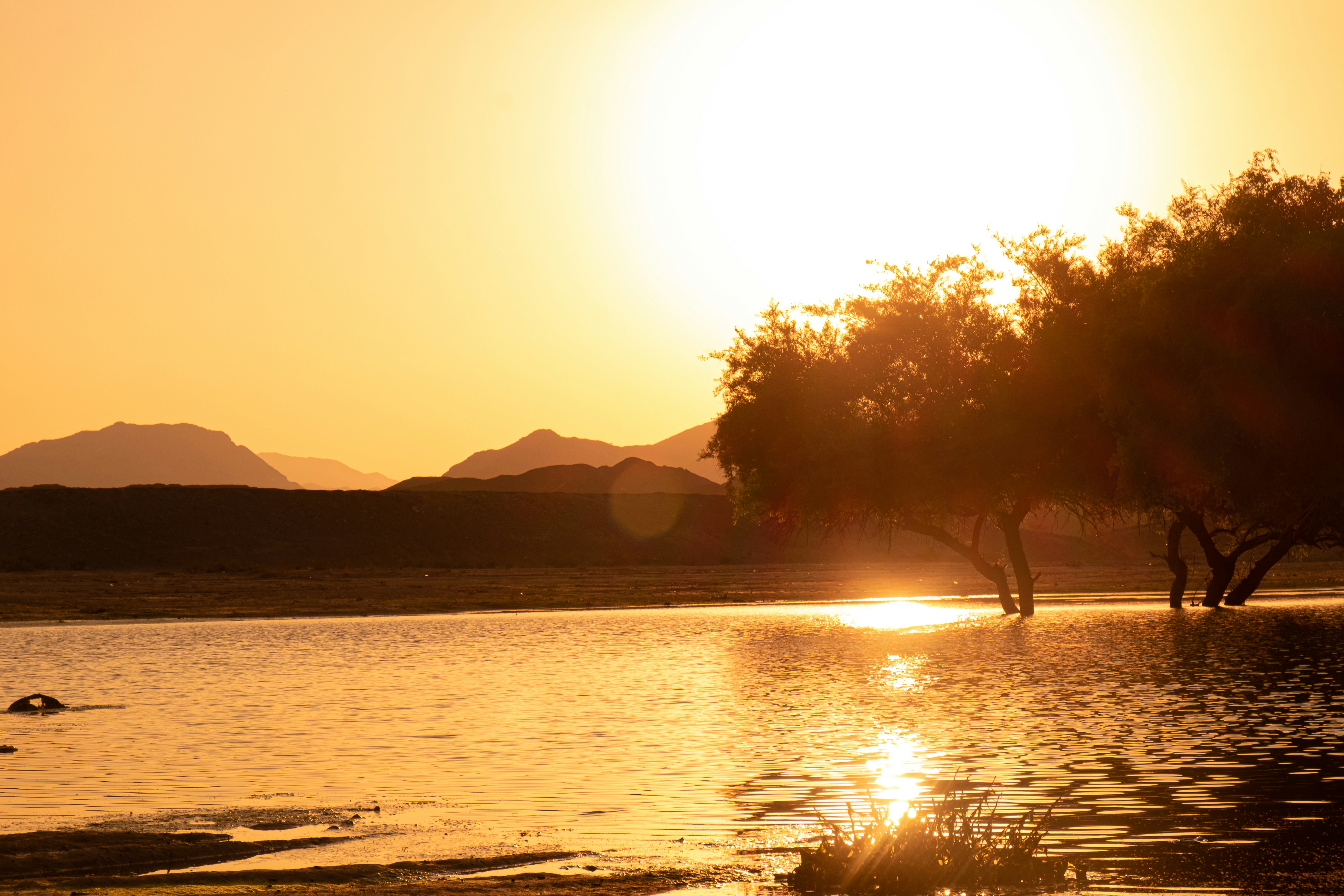 Photo by mo_design_3d