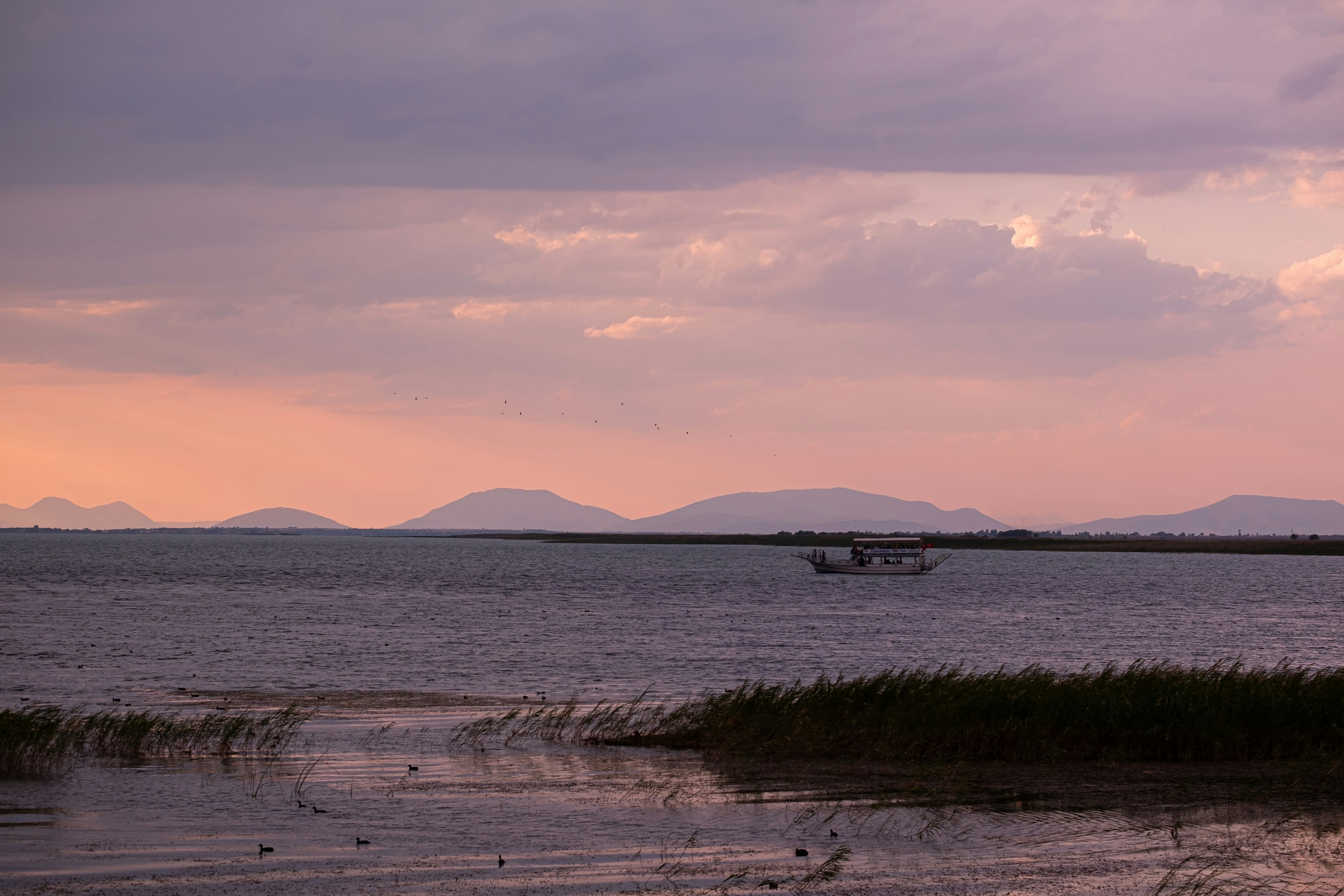 Photo by mo_design_3d