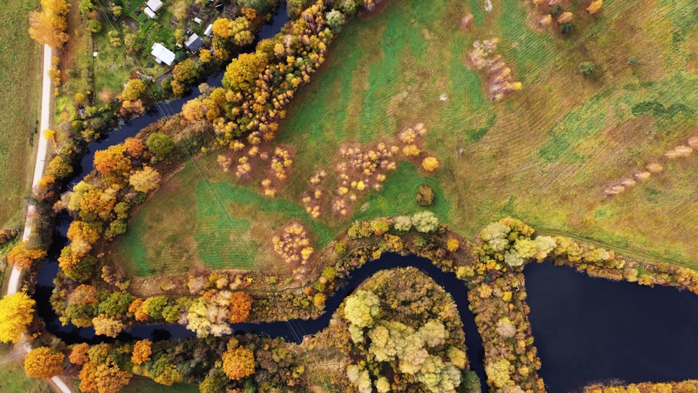 an aerial view of a river surrounded by trees