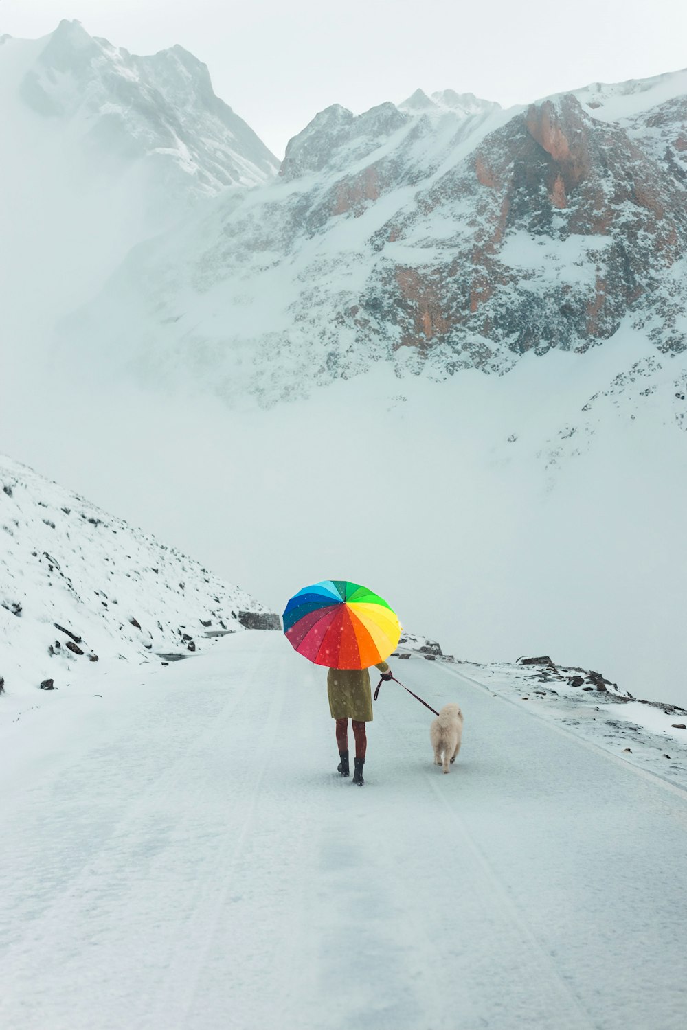 eine Person, die mit einem Hund im Schnee mit einem Regenschirm spazieren geht