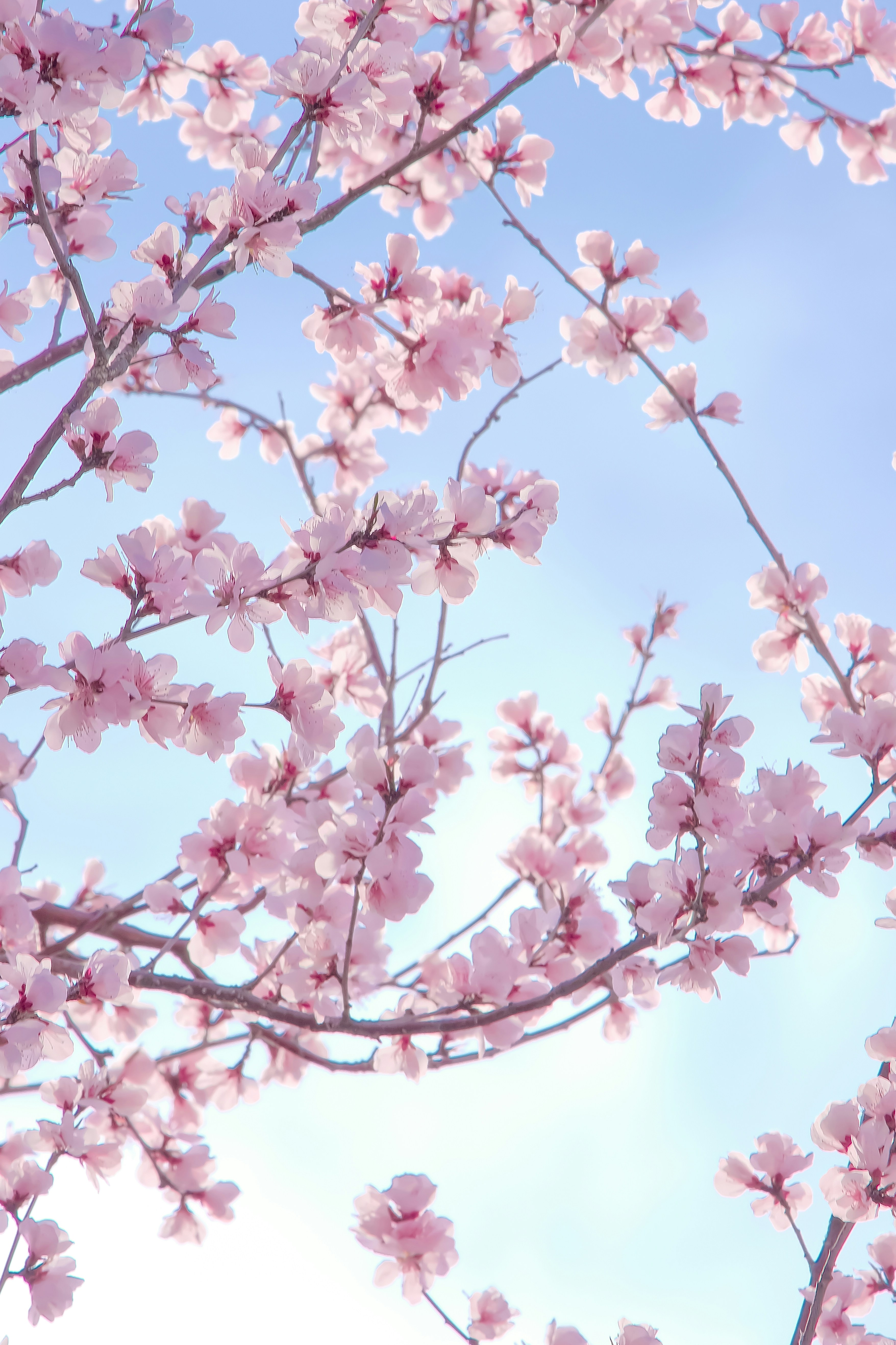 Photo by hattrick1996