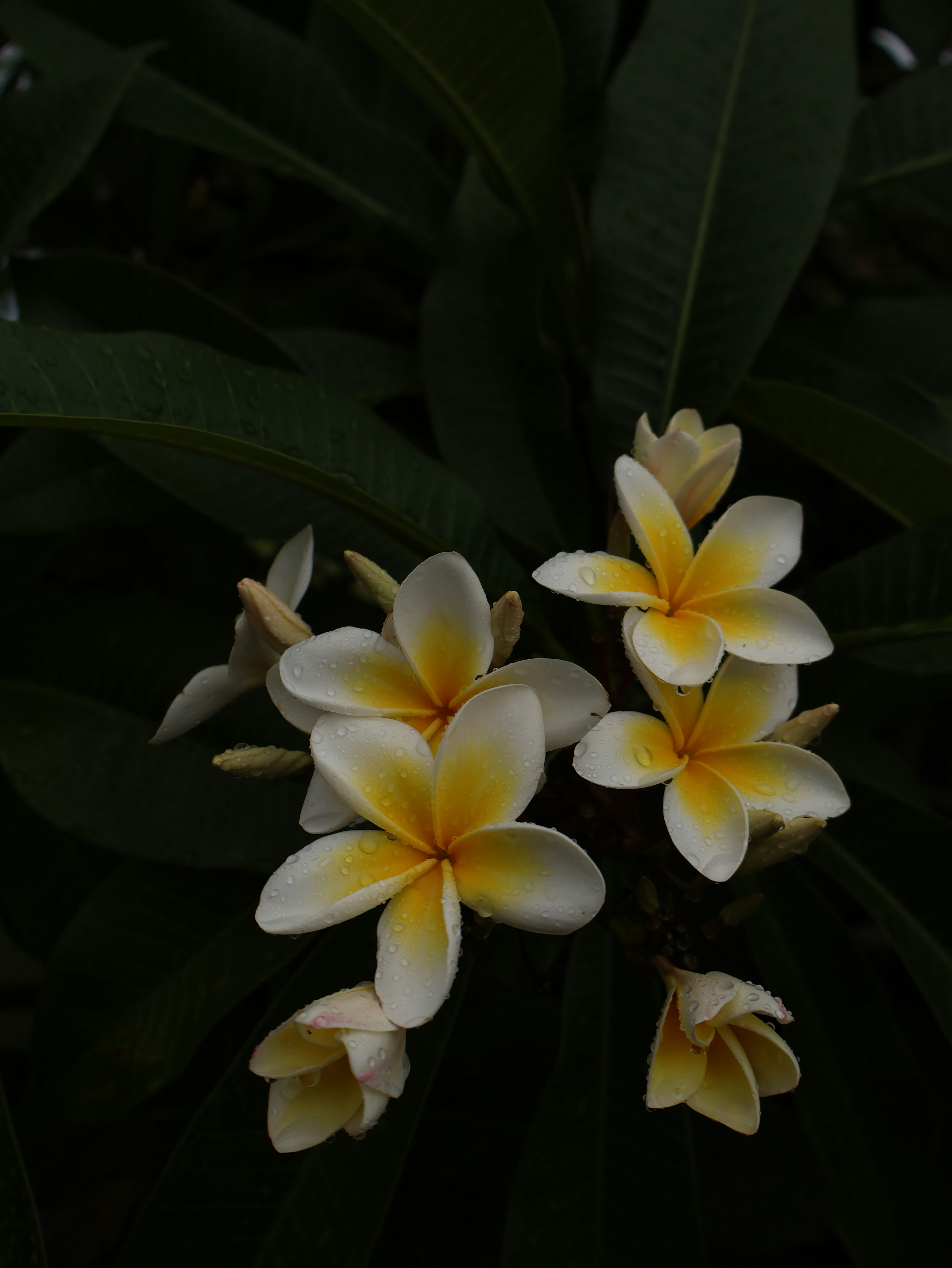 Photo by unsealmyname