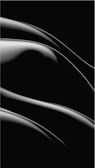 Abstract metallic silver arcs curving elegantly against a deep black backdrop.
