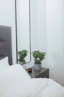 A serene bedroom scene with a bedside table holding trulyfair night cream and a small plant
