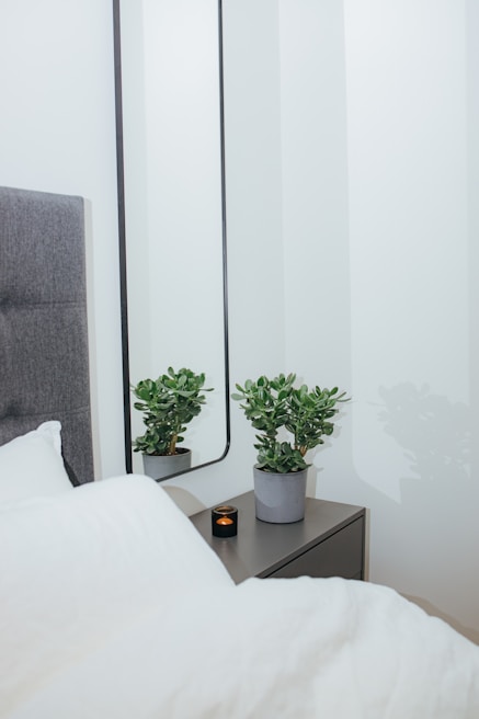 A serene bedroom scene with a bedside table holding trulyfair night cream and a small plant