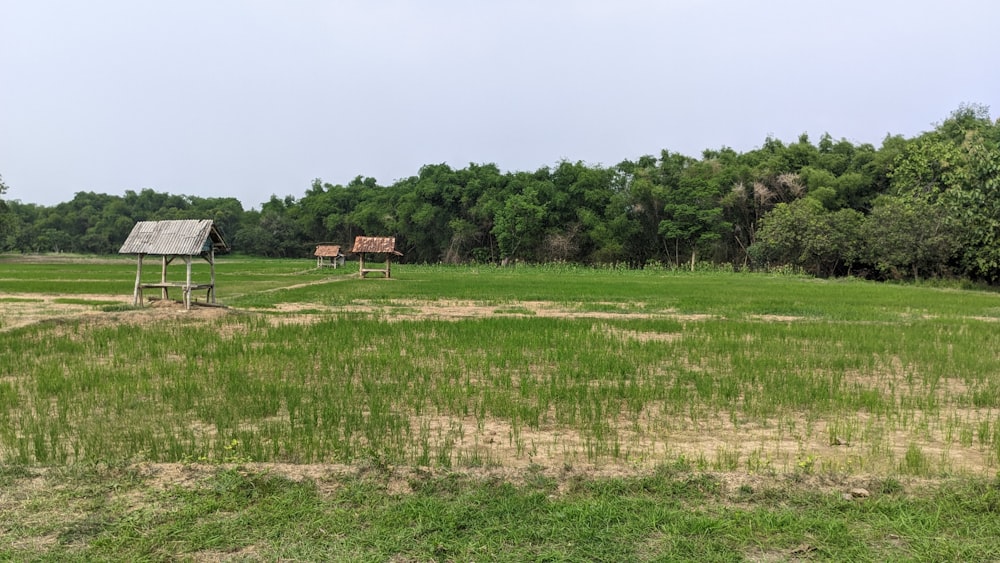 a grassy field with a wooden structure in the middle of it