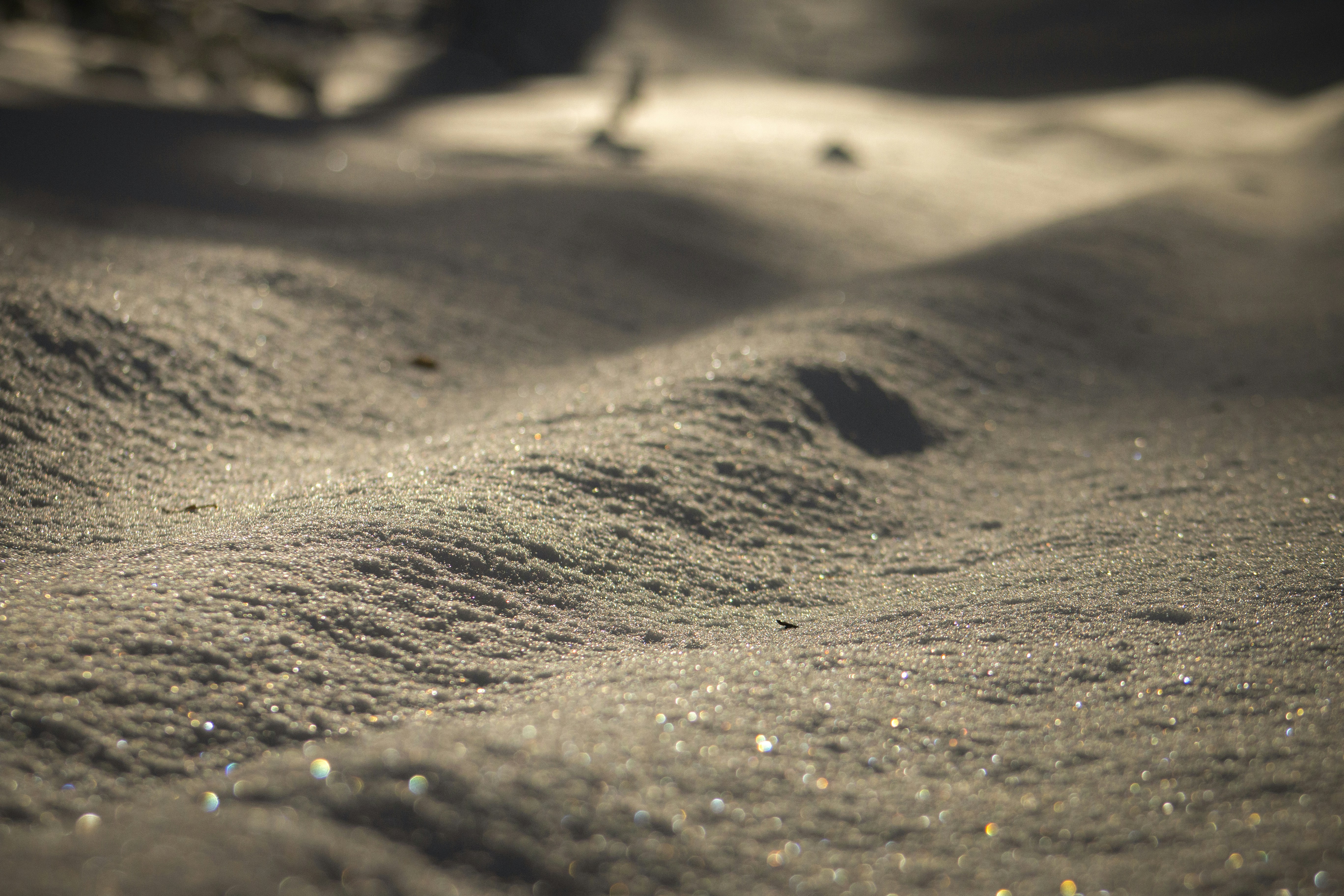 Photo by redpanigale1199