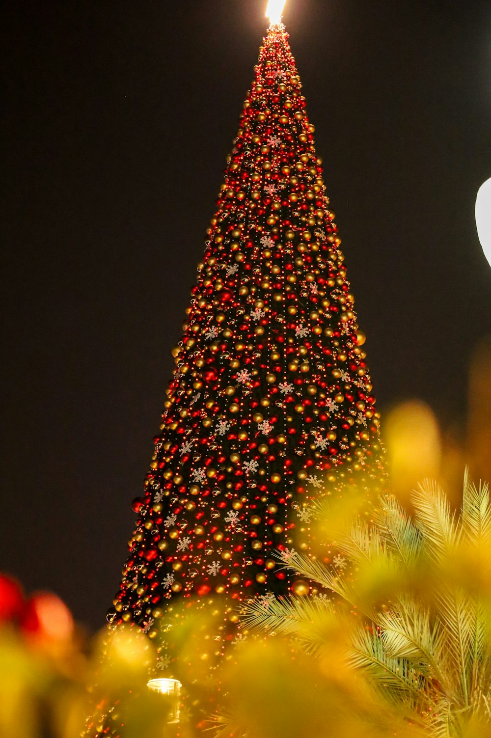 a large christmas tree is lit up at night