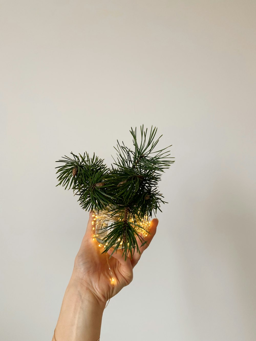 a hand holding a small pine tree with lights