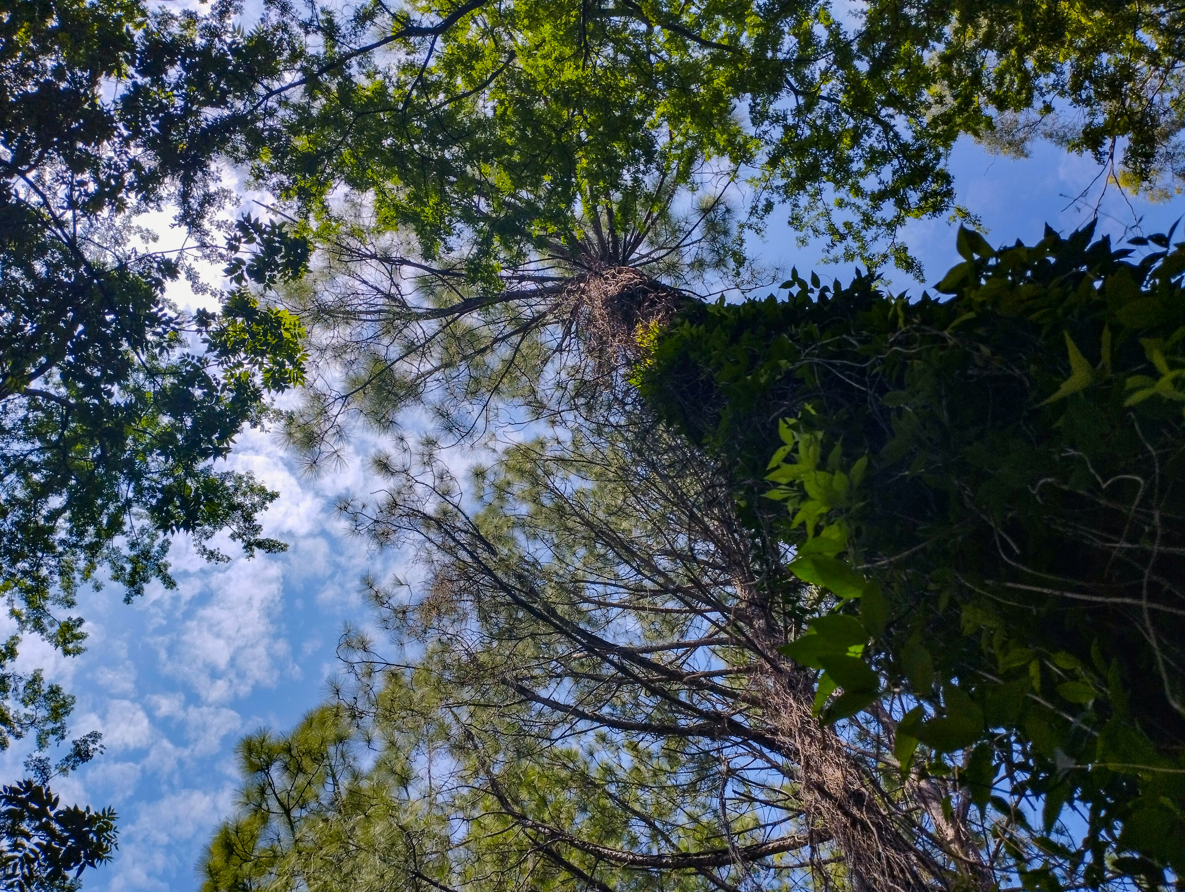 Photo by maheerakulsoom