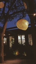 A warmly lit outdoor setting at twilight with a large illuminated sign hanging from a tree branch. The sign is intricately designed, adding an artistic touch. Behind the sign, a building with large windows is visible, partially obscured by leafy plants. The overall scene conveys a cozy and inviting atmosphere.