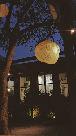 Cozy Scandinavian-style indoor signage glowing warmly in a matte forest green and deep crimson setting.