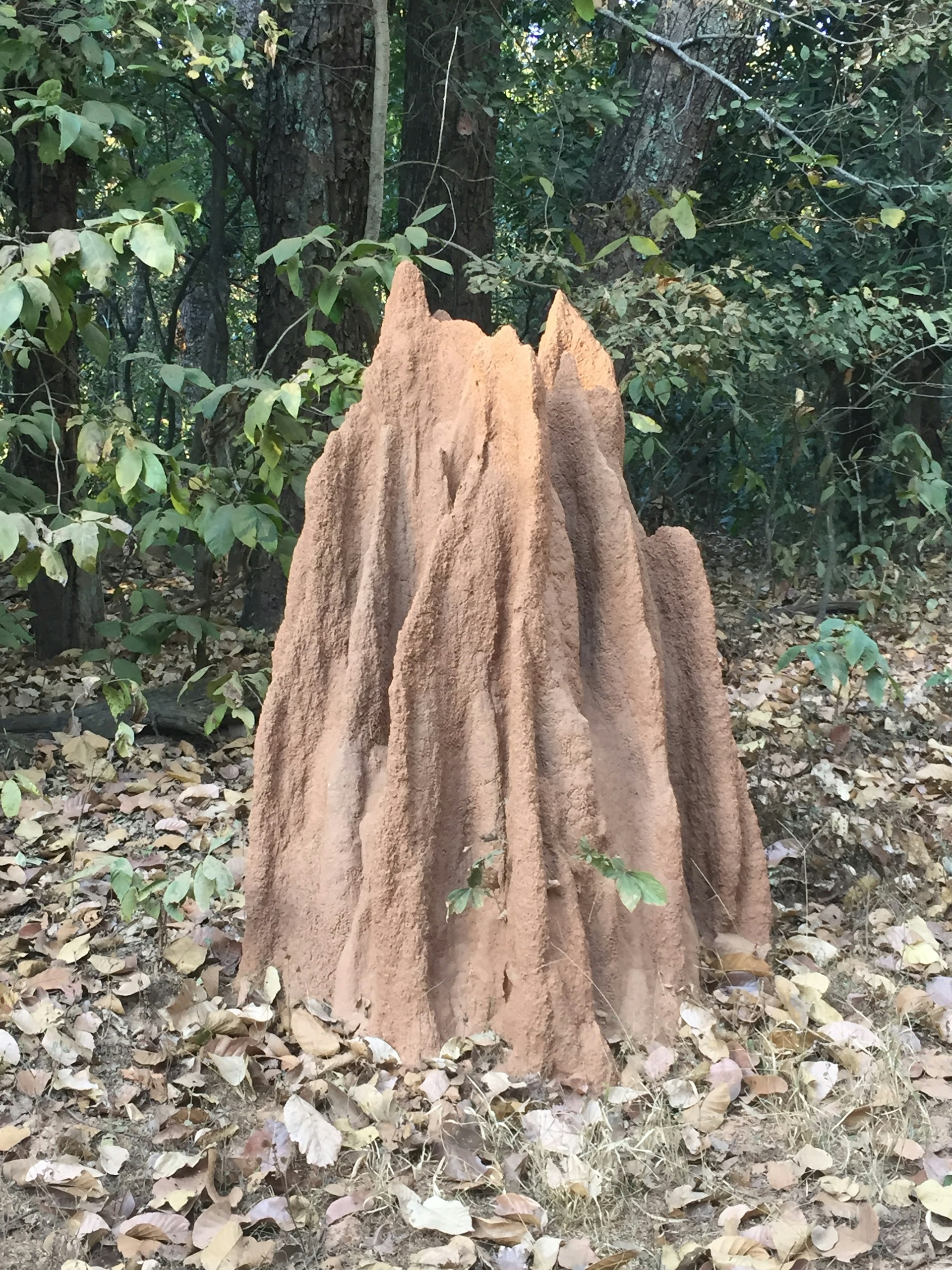 gray computer monitor