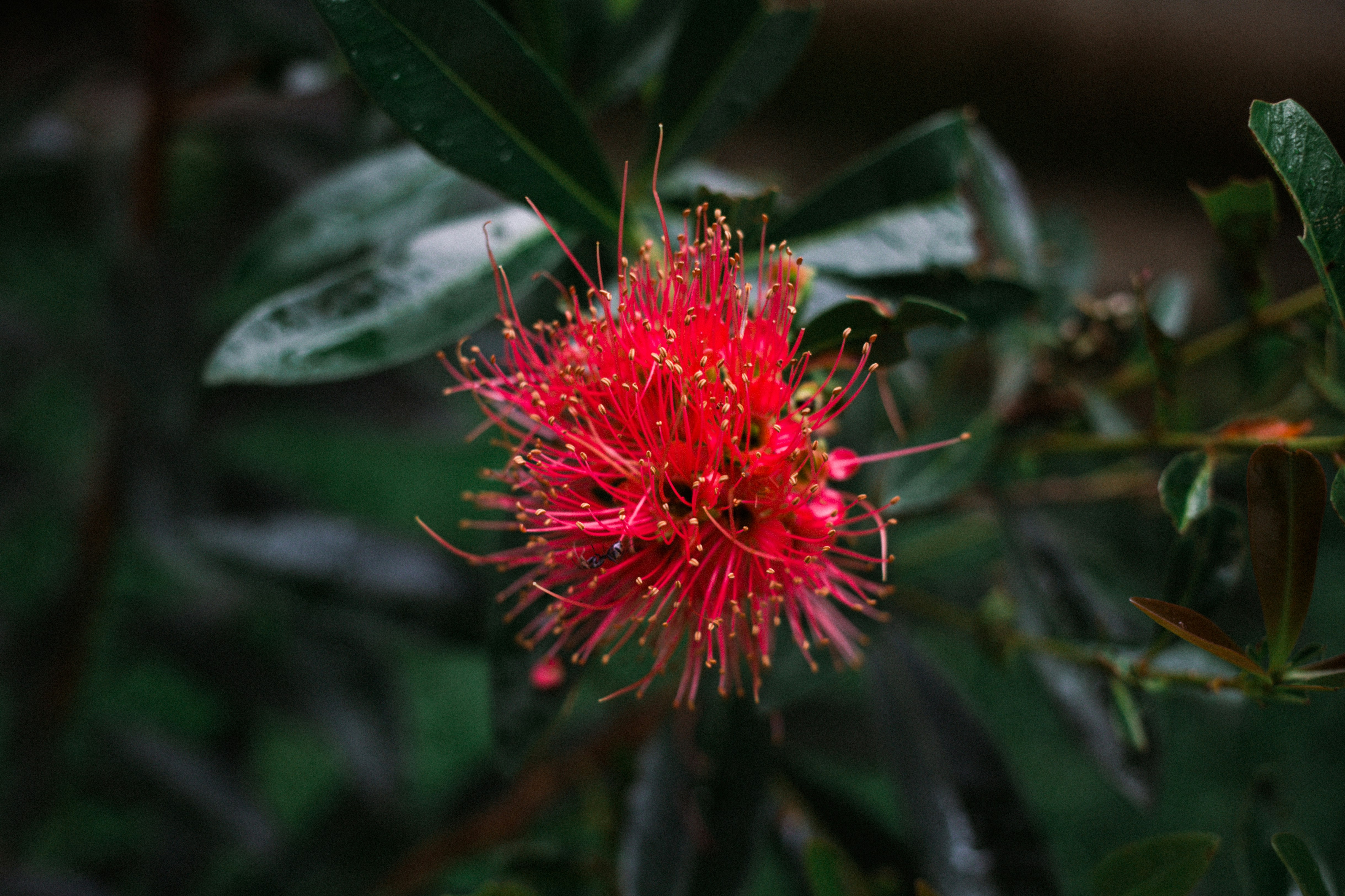 Photo by thaprobanana