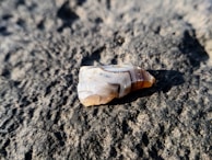 A polished piece of banded agate with warm earthy tones, resting on a rustic wooden surface.