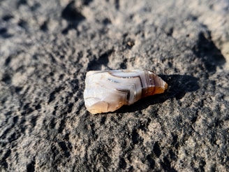 A polished piece of banded agate with warm earthy tones, resting on a rustic wooden surface.