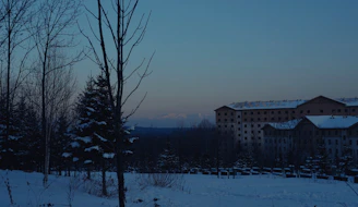 A serene winter garden landscape with soft snow covering evergreen trees and a modern office building in the background.